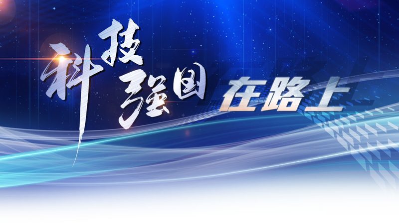 智能客服用户体验定制服务